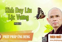 Kinh Duy Lâu Lặc Vương 5 – Thiền Sư Thích Nhất Hạnh kinh duy lau lac vuong 5 thien s