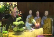 Kinh Hết Phiền Não (vấn đáp) – Thích Pháp Hòa kinh het phien nao van dap thich