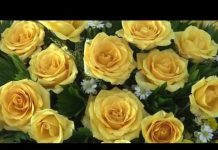 Kinh Hoa Nghiêm 15 – Thích Tuệ Hải kinh hoa nghiem 15 thich tue hai