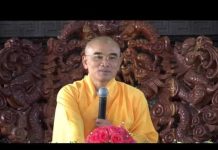Kinh Hoa Nghiêm 17 – Thích Tuệ Hải kinh hoa nghiem 17 thich tue hai