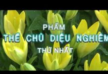 Kinh Hoa Nghiêm 26 – Thích Tuệ Hải kinh hoa nghiem 26 thich tue hai