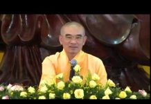 Kinh Hoa Nghiêm 27 – Thích Tuệ Hải kinh hoa nghiem 27 thich tue hai