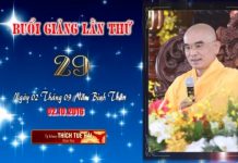 Kinh Hoa Nghiêm 29 – Thích Tuệ Hải kinh hoa nghiem 29 thich tue hai