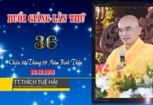 Kinh Hoa Nghiêm 36 – Thích Tuệ Hải kinh hoa nghiem 36 thich tue hai
