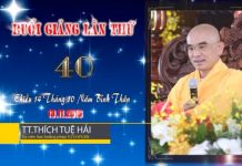 Kinh Hoa Nghiêm 40 – Thích Tuệ Hải kinh hoa nghiem 40 thich tue hai