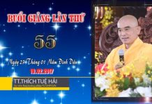 Kinh Hoa Nghiêm 55 – Thích Tuệ Hải kinh hoa nghiem 55 thich tue hai