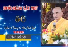 Kinh Hoa Nghiêm 56 – Thích Tuệ Hải kinh hoa nghiem 56 thich tue hai