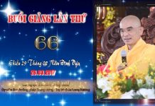 Kinh Hoa Nghiêm 66 – Thích Tuệ Hải kinh hoa nghiem 66 thich tue hai