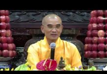 Kinh Hoa Nghiêm 8 – Thích Tuệ Hải kinh hoa nghiem 8 thich tue hai