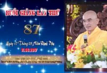 Kinh Hoa Nghiêm 87 – Thích Tuệ Hải kinh hoa nghiem 87 thich tue hai