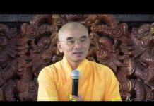 Kinh Hoa Nghiêm 9 – Thích Tuệ Hải kinh hoa nghiem 9 thich tue hai