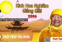 Kinh Hoa Nghiêm Giảng Giải 5 – Hiền Thủ Phần 1 – Thích Thanh Từ kinh hoa nghiem giang giai 5 hie