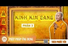 Kinh Kim Cang 3 – Thích Phước Tiến kinh kim cang 3 thich phuoc tien