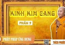 Kinh Kim Cang 9 – Thích Phước Tiến kinh kim cang 9 thich phuoc tien