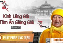 Kinh Lăng Già Tâm Ấn Giảng Giải Phần 25 – Thích Thanh Từ kinh lang gia tam an giang giai 2