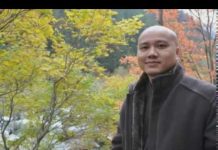 Kinh Lục Hòa – Thích Pháp Hòa kinh luc hoa thich phap hoa