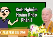Kinh Nghiệm Hoằng Pháp Phần 3 – Thích Trí Quảng 2016 kinh nghiem hoang phap phan 3 th