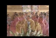 Kinh Pháp Cú 24 – Thích Tuệ Hải kinh phap cu 24 thich tue hai