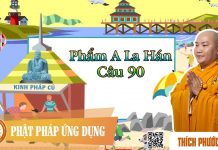 Kinh Pháp Cú Phẩm A La Hán (Câu 90) – Thích Phước Tiến kinh phap cu pham a la han cau 9