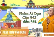 Kinh Pháp Cú Phẩm Ái Dục (Câu 342 đến 351) – Thích Phước Tiến kinh phap cu pham ai duc cau 342