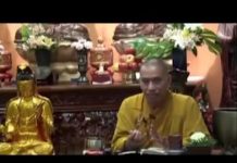 Kinh Pháp Cú Phẩm An Lạc – Thích Tâm Đức kinh phap cu pham an lac thich t