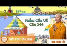 Kinh Pháp Cú Phẩm Cấu Uế (Câu 244) – Thích Phước Tiến kinh phap cu pham cau ue cau 244