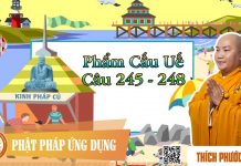 Kinh Pháp Cú Phẩm Cấu Uế (Câu 245 đến 248) – Thích Phước Tiến kinh phap cu pham cau ue cau 245