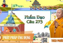 Kinh Pháp Cú Phẩm Đạo Câu 273 – Thích Phước Tiến kinh phap cu pham dao cau 273 th