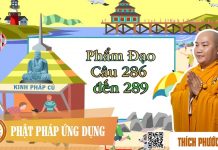 Kinh Pháp Cú Phẩm Đạo (Câu 286 đến 289) – Thích Phước Tiến kinh phap cu pham dao cau 286 de