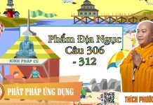 Kinh Pháp Cú Phẩm Địa Ngục (Câu 306 đến 312) – Thích Phước Tiến kinh phap cu pham dia nguc cau 3 1