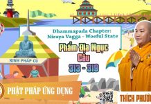 Kinh Pháp Cú Phẩm Địa Ngục (Câu 313 đến 319) (Dhammapada Chapter: Niraya Vagga – Woeful State) – Thích Phước Tiến kinh phap cu pham dia nguc cau 3