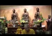 Kinh Pháp Cú Phẩm Hiền Trí – Thích Tâm Đức kinh phap cu pham hien tri thich