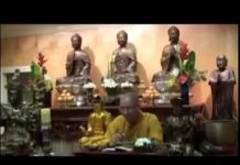 Kinh Pháp Cú Phẩm Không Phóng Dật – Thích Tâm Đức kinh phap cu pham khong phong da