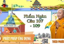 Kinh Pháp Cú Phẩm Ngàn (Câu 107 đến 109) – Thích Phước Tiến kinh phap cu pham ngan cau 107 d