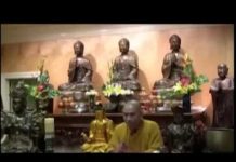 Kinh Pháp Cú Phẩm Ngu – Thích Tâm Đức kinh phap cu pham ngu thich tam