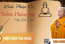 Kinh Pháp Cú Phẩm Phẫn Nộ (Câu 228 đến 233) – Thích Phước Tiến kinh phap cu pham phan no cau 22