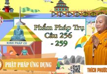 Kinh Pháp Cú Phẩm Pháp Trụ Câu 256 đến 259 – Thích Phước Tiến 2016 kinh phap cu pham phap tru cau 2 2