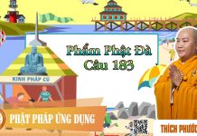 Kinh Pháp Cú Phẩm Phật Đà (Câu 183) – Thích Phước Tiến kinh phap cu pham phat da cau 18 2