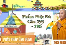 Kinh Pháp Cú Phẩm Phật Đà (Câu 193 đến 196) – Thích Phước Tiến kinh phap cu pham phat da cau 19