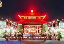 Kinh Pháp Cú Phẩm Song Yếu (Câu 15 đến 20) – Thích Phước Tiến kinh phap cu pham song yeu cau 1
