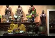 Kinh Pháp Cú Phẩm Song Yếu – Thích Tâm Đức kinh phap cu pham song yeu thich