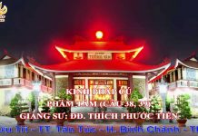 Kinh Pháp Cú Phẩm Tâm (Câu 38, 39) – Thích Phước Tiến kinh phap cu pham tam cau 38 39