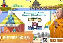 Kinh Pháp Cú Phẩm Tạp (Câu 290 Đến 298) (Dharmapada Sutra – Chapter Miscellaneous) – Thích Phước Tiến kinh phap cu pham tap cau 290 de