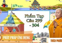 Kinh Pháp Cú Phẩm Tạp (Câu 299 Đến 304) – Thích Phước Tiến kinh phap cu pham tap cau 299 de