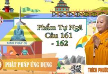Kinh Pháp Cú Phẩm Tự Ngã (Câu 161-162) – Thích Phước Tiến kinh phap cu pham tu nga cau 161