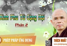 Kinh Phu Tử Cộng Hội Phần 2 – Thiền Sư Thích Nhất Hạnh kinh phu tu cong hoi phan 2 thie
