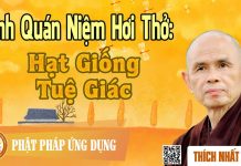Kinh Quán Niệm Hơi Thở: Hạt Giống Tuệ Giác – Thích Nhất Hạnh kinh quan niem hoi tho hat giong