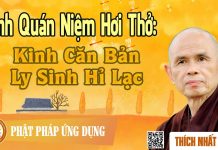 Kinh Quán Niệm Hơi Thở: Kinh Căn Bản, Ly Sinh Hỉ Lạc – Thích Nhất Hạnh kinh quan niem hoi tho kinh can
