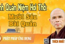 Kinh Quán Niệm Hơi Thở: Mười Sáu Bài Quán – Thích Nhất Hạnh kinh quan niem hoi tho muoi sau