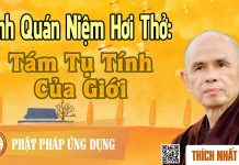Kinh Quán Niệm Hơi Thở: Tám Tụ Tính Của Giới – Thích Nhất Hạnh kinh quan niem hoi tho tam tu ti